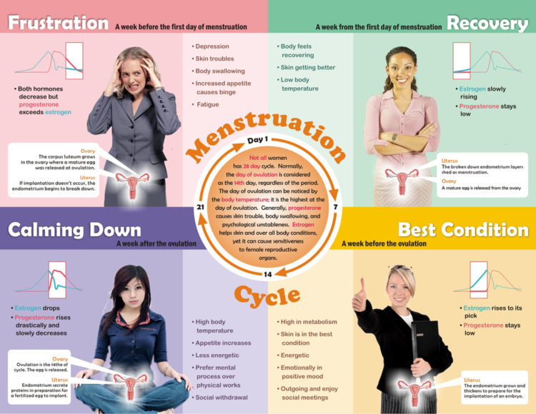 4 fázy ženského cyklu